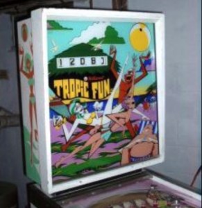 Available as a donor machine. Manufactured by Williams in 1973.